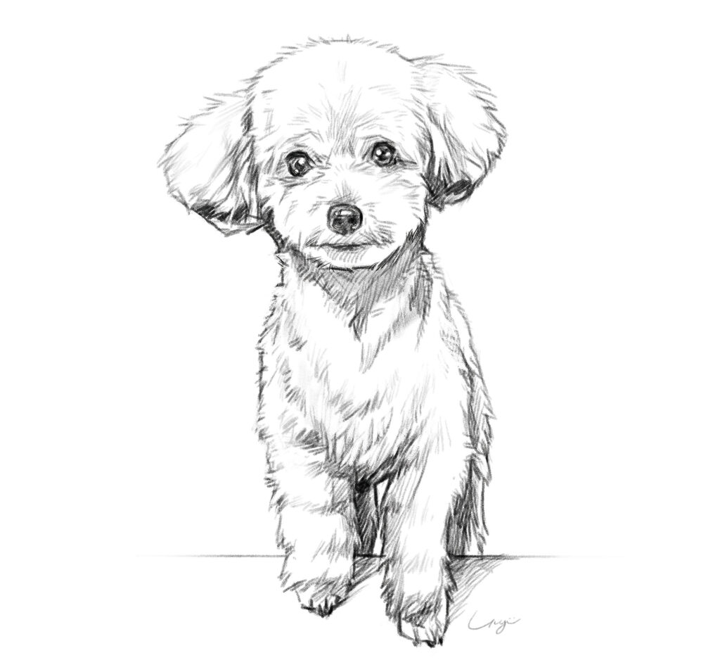 Kai