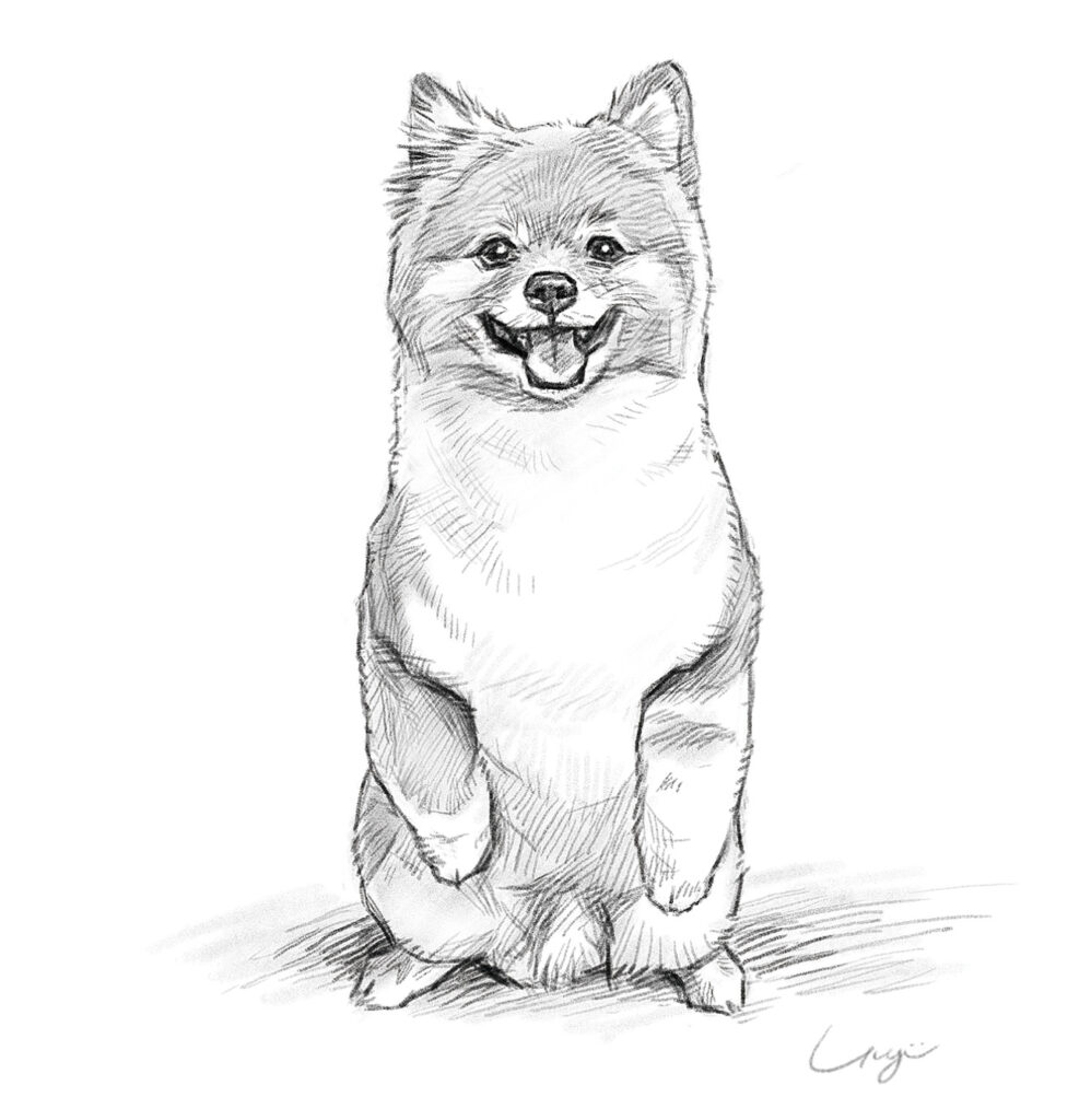 Ponta