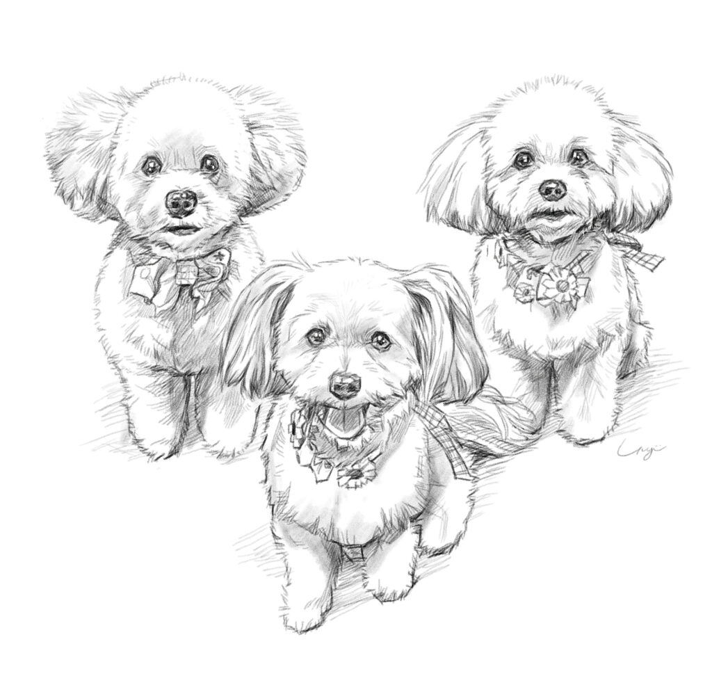 Tiffany & Mocha & Coco